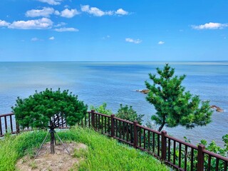 view of the sea from the sea korea