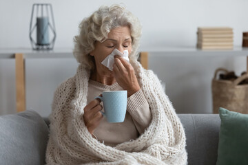 Sick mature woman wrapped blanket blowing running nose, feeling unhealthy and ill, upset middle...