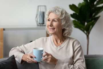 Smiling mature woman holding cup of tea, relaxing at home, dreamy positive middle aged female sitting on cozy couch in modern living room, looking to aside, dreaming, enjoying free time