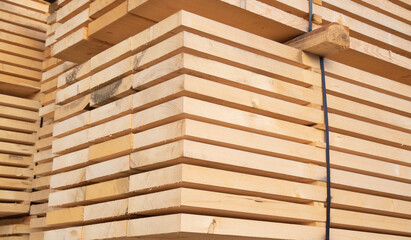 Fresh wooden studs