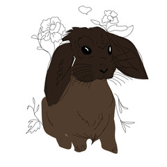 hare beautiful vector illustration