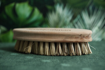 Gem&uuml;seb&uuml;rste Natur 