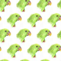 seamless pattern with green parrot on white background