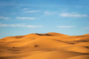 Fototapeta na wymiar Desert landscape with golden sand dunes. Sahara nature Merzouga Morocco. Extreme travel destinations. Alone in nature. Evening light shining at high sand hills. 