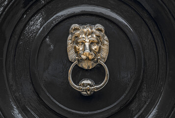 Traditional old fashioned style heavy brass lion door knocker against a black wooden door.