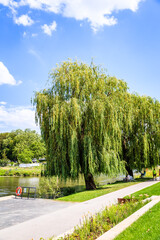 Landschaftsgestaltung im Garten gartenbau gala