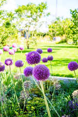 Landschaftsgestaltung im Garten gartenbau gala