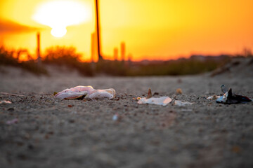 scattered garbage on the beach in the evening, environmental pollution