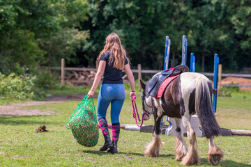 Female horse farm worker is going to feed horse with hay and grain