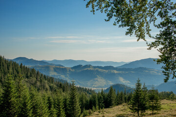 Morning sunny day is in mountain landscape. Carpathian, Ukraine, Europe. Beauty world. Large resolution