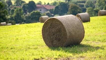 Straw bales on meadow on countryside background.