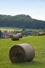 Straw bales on meadow on countryside background.