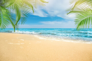 Obraz na płótnie Canvas Sandy beach with palms near ocean on sunny day