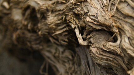 waves of splintered wood