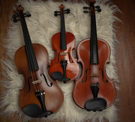 Fototapeta na wymiar Three violins put on background,show detail and different size of acoustic instrument