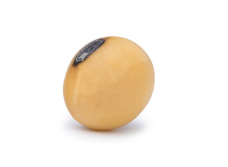 Single yellow dry soybean seed isolated on white background with clipping path.