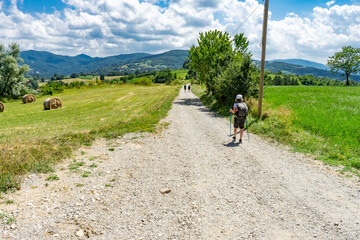 Obraz premium Italy Emilia Romagna, Bologna, path of gods