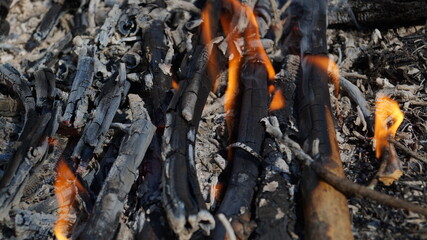 Firewood burns beautifully in nature