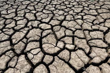 Part of a huge area of dried land suffering from drought in cracks.