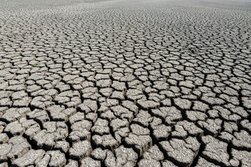 Part of a huge area of dried land suffering from drought in cracks.