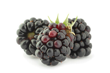 Blackberry fruit closeup