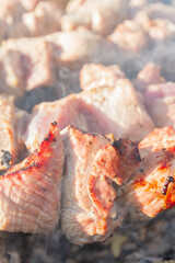 Fresh pork shish kebab is fried on skewers on the grill