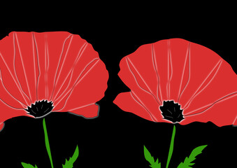 Two hand drawn red poppies with stalks and leaves,, black background, copy space