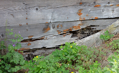 Damage to a very old cabin in Switzerland