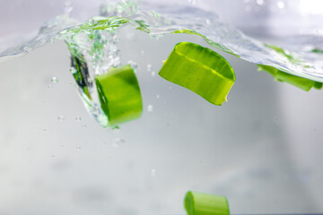 ice cube on a green leaf