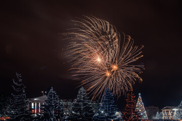 New Year's fireworks over the night city
