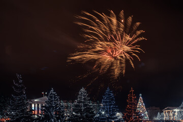 New Year's fireworks over the night city