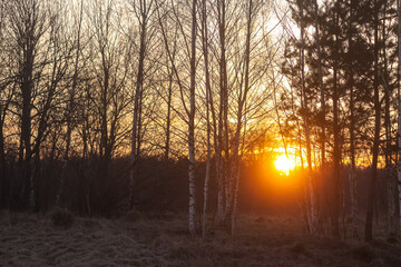 Spring landscape in countryside. Beautiful sunset.