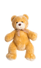 soft toy bear isolated
