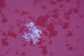 Fototapeta premium Snowflakes during the snowfall on glass surface