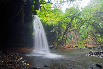 Fototapeta premium 夏の鍋ヶ滝