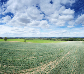 Fototapeta na wymiar aerial view of farmland in the uk