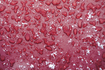 Snowflakes during the snowfall on glass surface