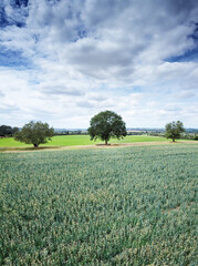 aerial view of farmland in the uk