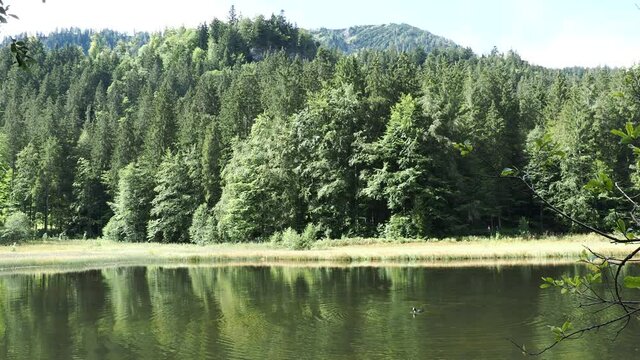 Blick &uuml;ber das ruhige Wasser von Suttensee und die unber&uuml;hrte Natur oberhalb Rottach-Egern, Enterrottach und Tegernsee in Bayerische Landschaft