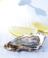 fresh oysters with lemon