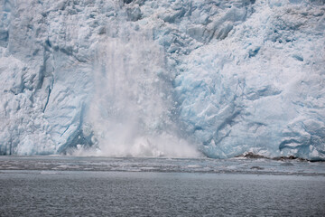 Seward Glaciers Sea Wildlife Alaska