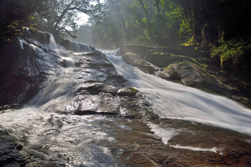 Fototapeta premium 菊池渓谷の光芒「四十三万滝」