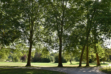 Parc en été