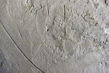 A beautiful backdrop of the gray fresh surface of concrete
