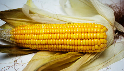 Raw sweet corn on blurred background with dried leaves