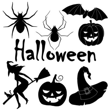 vector illustration, set of elements for Halloween, witch on a broom, pumpkin, spiders, bat, hat, isolate on a white background