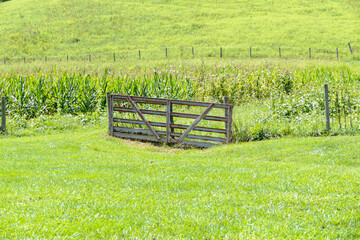 Fence on a farm