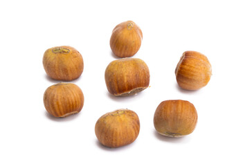 hazelnut isolated