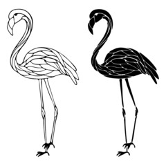 vector illustration, drawing of a flamingo in black, tropical bird, template, ornament for tattoo, isolate on a white background