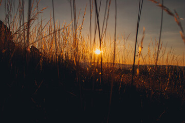 Fototapeta premium Por do sol